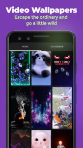 ZEDGE Mod APK v8.26.3 Download (Premium Unlocked) 2024 5